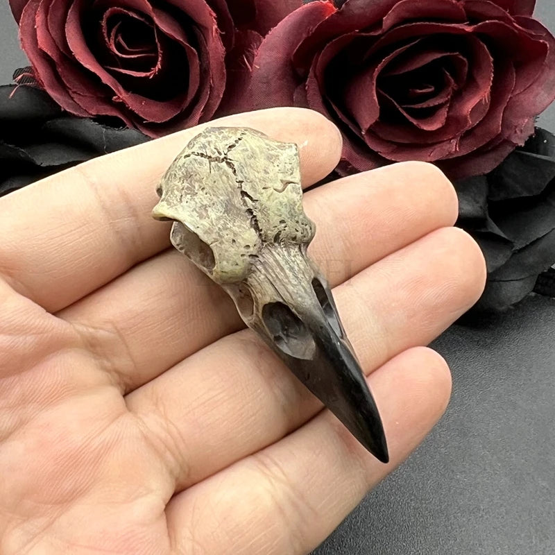 Crow Skull Necklace Pendant Set 3D Gothic Bird Jewelry Halloween Accessory