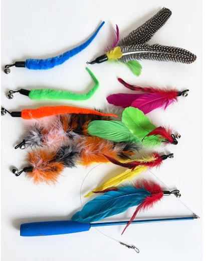 Retractable Cat Feather Wand Toy Set with Replacement Feathers, Interactive Play for Indoor Cats