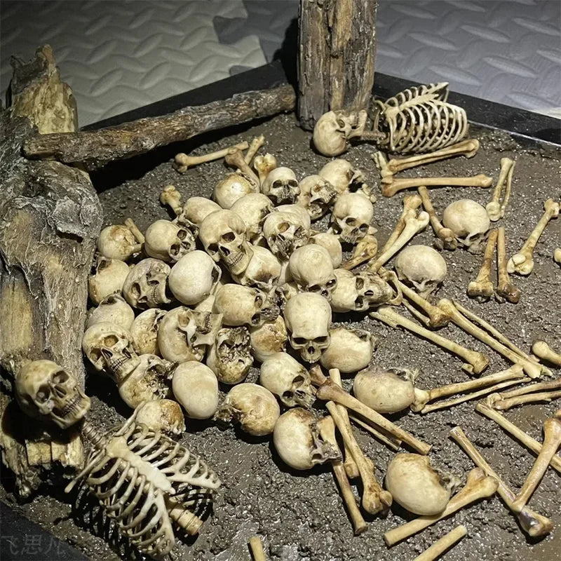 Miniature Skeleton Skull Model for Halloween Dioramas Aquarium & Home Decor - 1:12 Scale