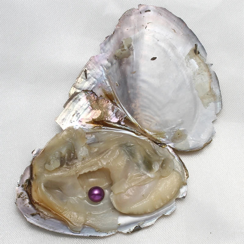 7-8MM AA+ Freshwater Cultured Pearl Oyster Gift Set - 10 Pieces