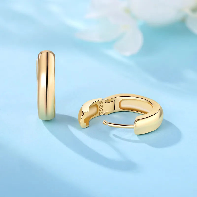 Sterling Silver Zircon Hoop Earrings with 18K Gold Lining for Women - Vintage Jewelry Gift