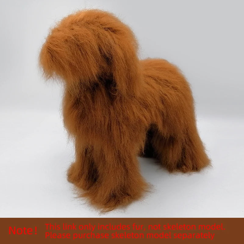 Fake Pet Hair for Dog Practice - Standard Poodle Whole Body Hair Simulation