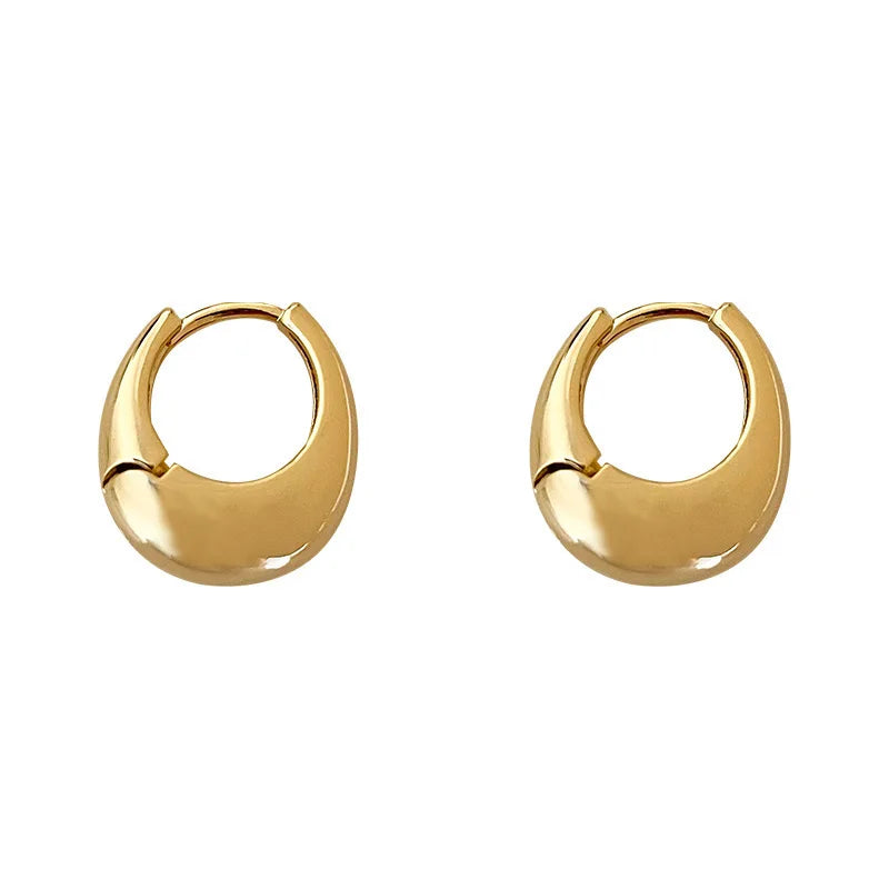Stainless Steel Chunky Hoop Earrings for Women Girls Statement Jewelry