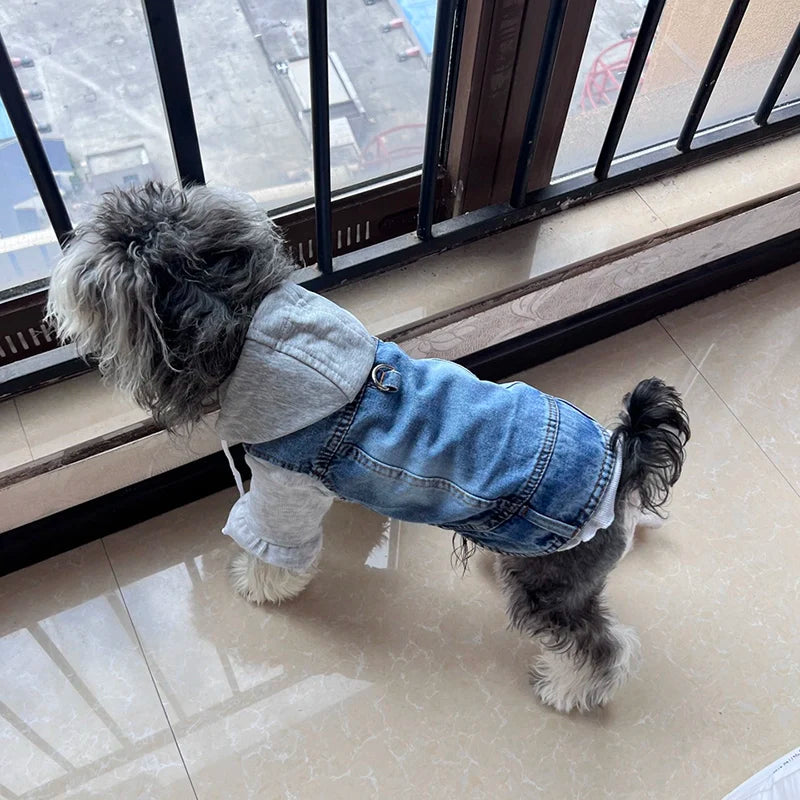 Dog Jean Jacket Vest with D-Ring Hoodies for Small Medium Dogs Spring Dog Clothes Puppy Denim Harness Coat
