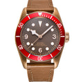 Luxury Men’s 41mm Automatic Mechanical Watch with Sapphire Glass and PVD Case