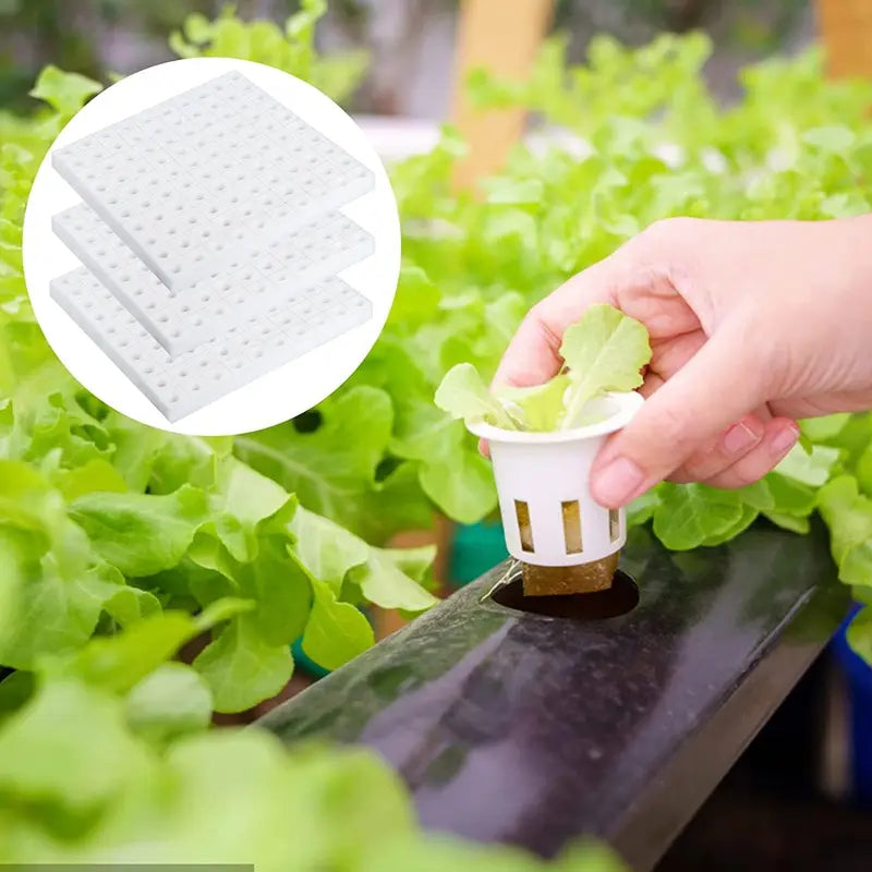Hydroponic Plant Growing Sponges 100-500pcs Square Soilless Cultivation for Seedlings and Vegetables