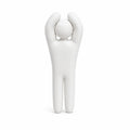 Paintable 3D Chameleon Figure with Multiple Poses - Decorative Statue