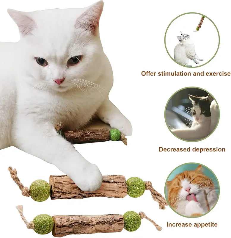 Natural Catnip and Silvervine Toothpaste Stick for Cats - Oral Care & Chew Toy
