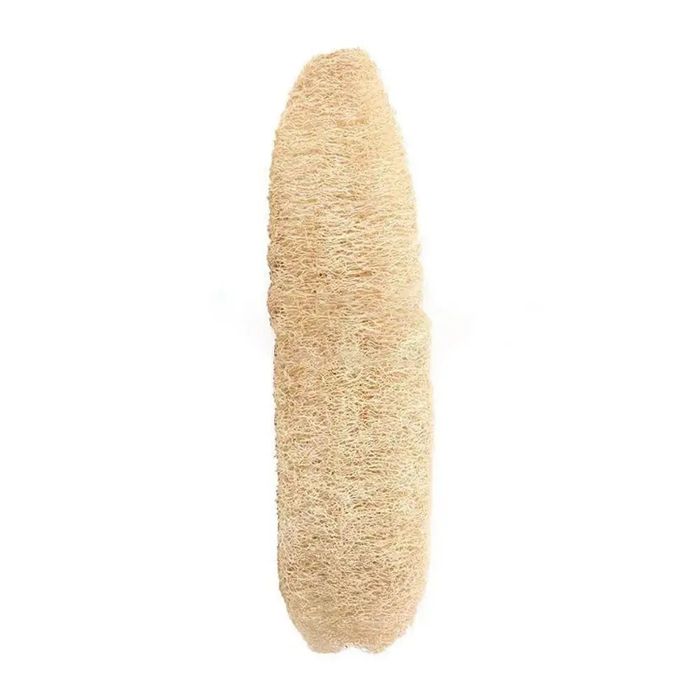 Natural Loofah Sponge for Exfoliating Body Wash & Scrubbing - Biodegradable