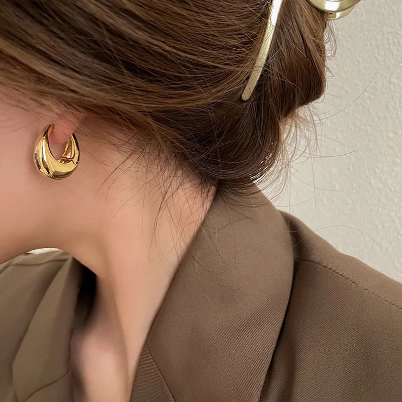 Stainless Steel Chunky Hoop Earrings for Women Girls Statement Jewelry