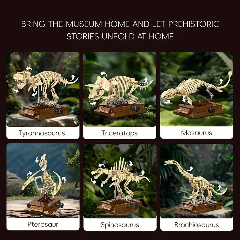 Dinosaur Fossil Building Blocks Set - Educational STEM Toy for Kids, Home Decor
