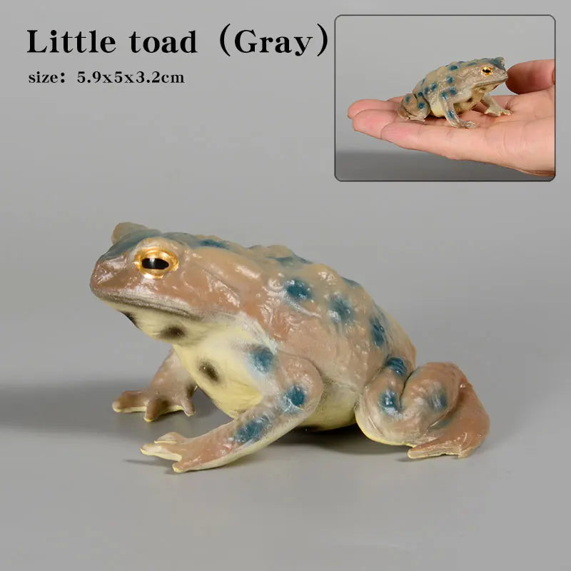 Educational Realistic Frog Figurine Hand Painted Animal Model Toy for Kids