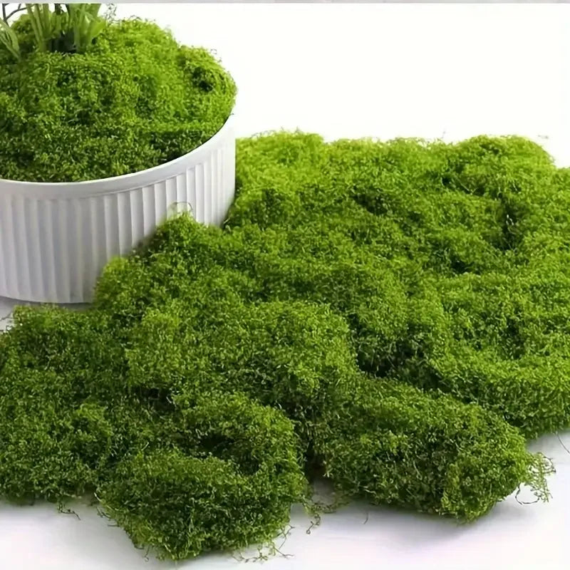 Artificial Green Moss for Crafts and Home Decor - Fake Preserved Plant