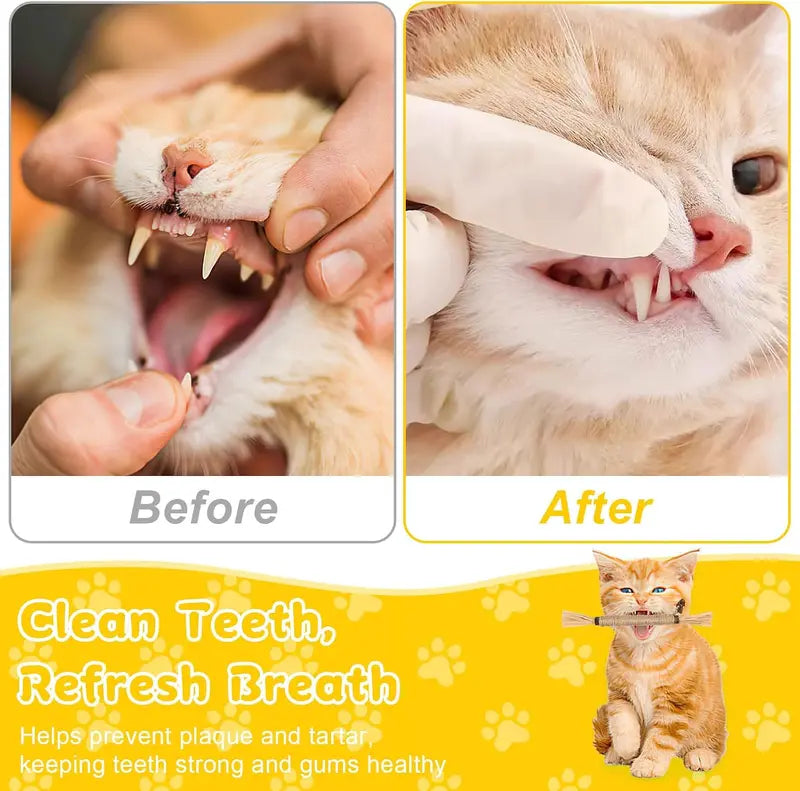 Silvervine Cat Chew Sticks Set - Natural Cat Toys for Dental Care & Play