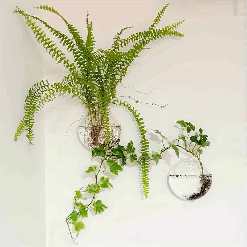 Wall Hanging Glass Terrarium with Self-Watering Hydroponic System - Handmade Round Crystal Vase