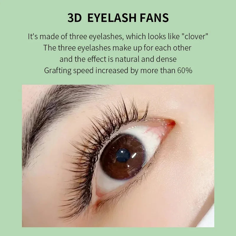 Eyelash Extensions W Shape 3D-6D Premade Volume Fans Faux Mink Natural Lashes