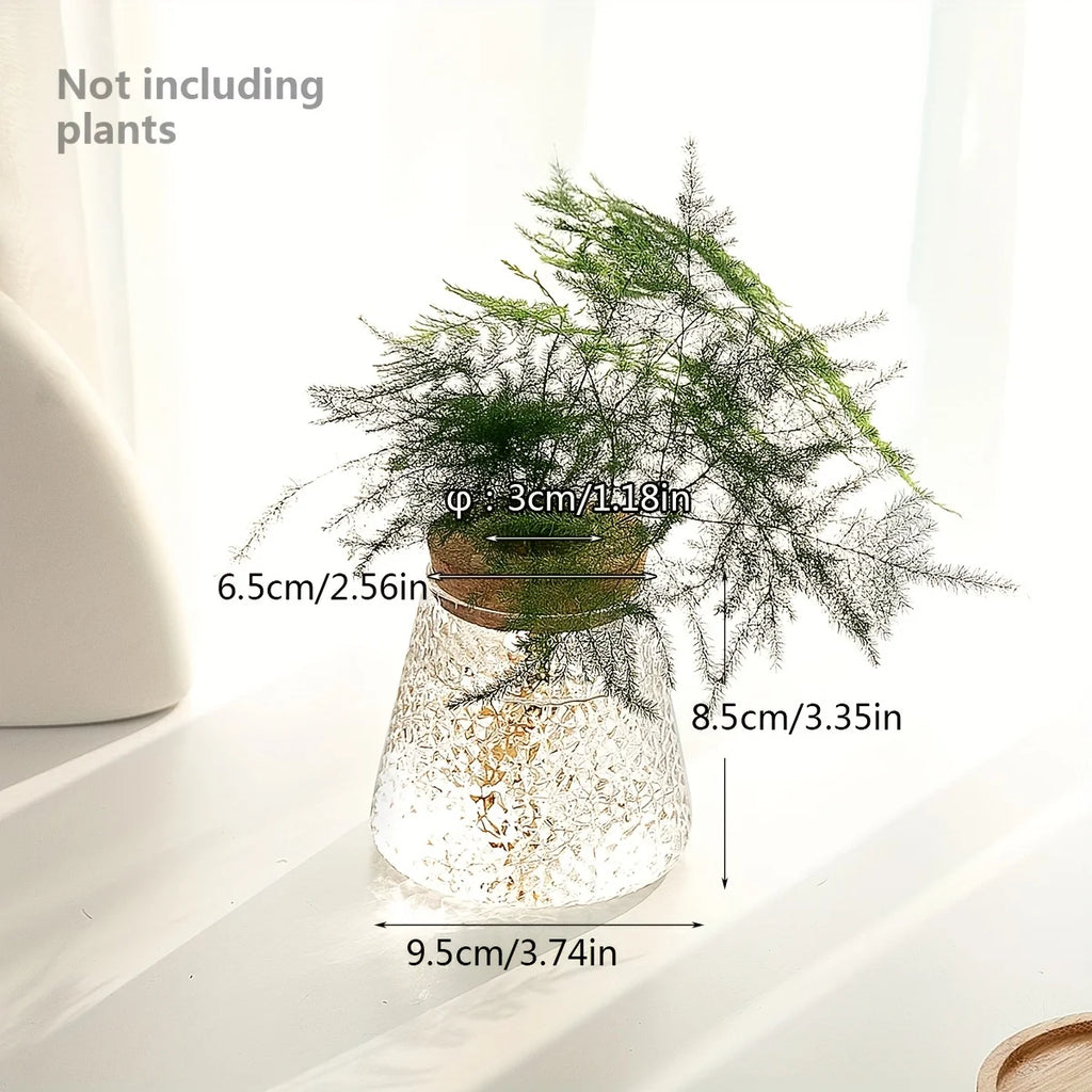 Glass Flowerpot Breeding Station Vase Rack - Desktop Hydroponic Plant Support