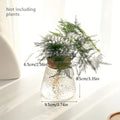 Glass Flowerpot Breeding Station Vase Rack - Desktop Hydroponic Plant Support