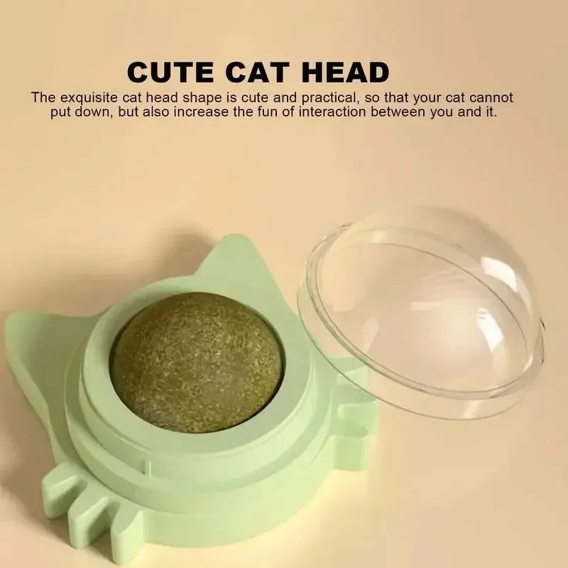 Rotatable Catnip Wall Scratcher Toys with Treats for Cats - Multiple Colors