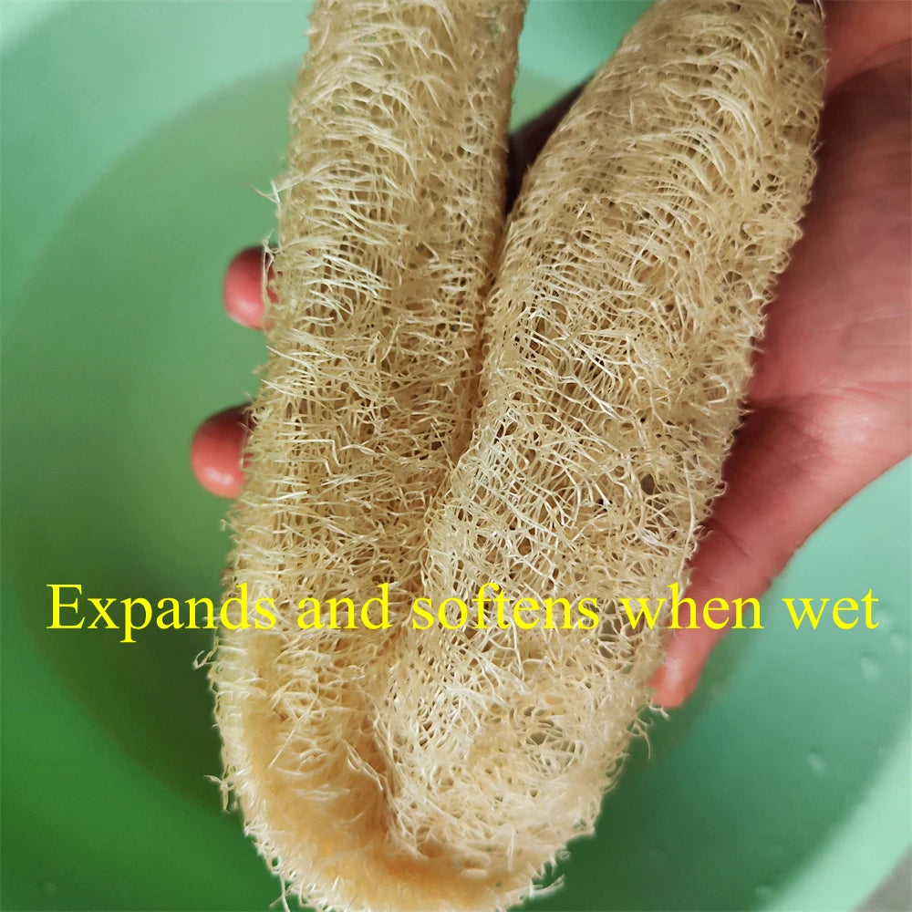 Natural Loofah Sponge Multi-Purpose Cleaning and Body Exfoliating Pad