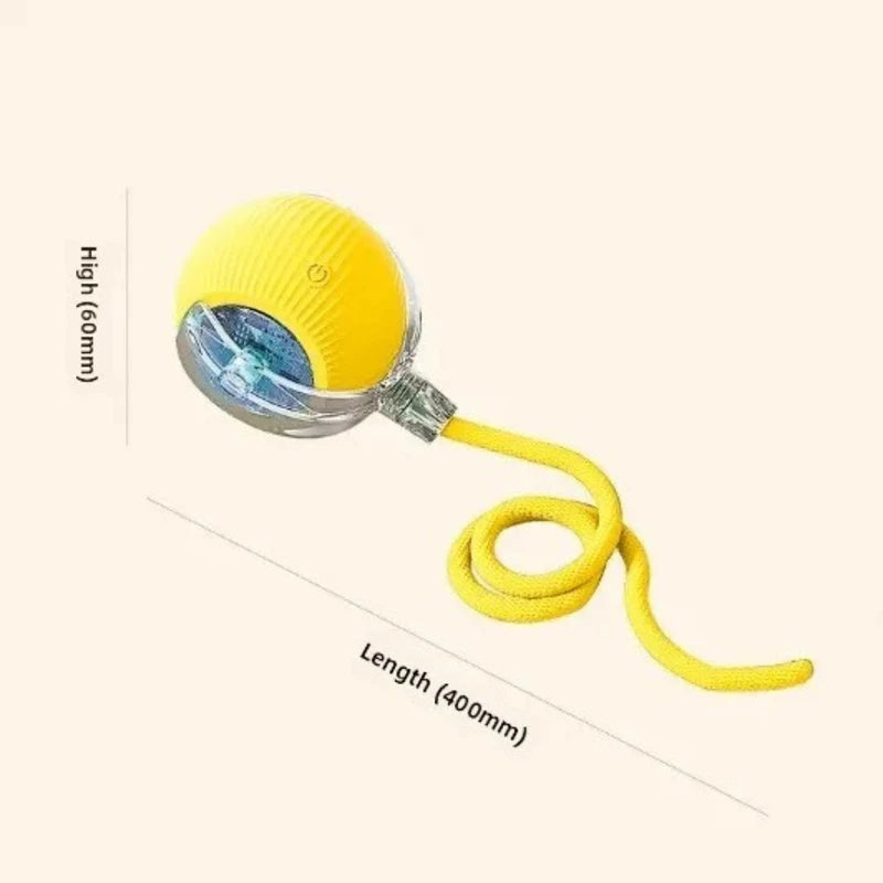 Interactive Cat Toy Ball with Obstacle Avoidance & Adjustable Speed - Rechargeable Electric Self-Rolling Ball with Elastic Rope