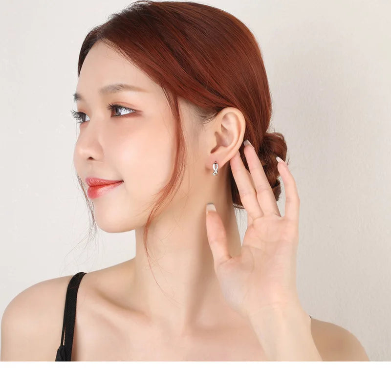 Sterling Silver Zircon Earrings for Women Circle Round Jewelry Gift