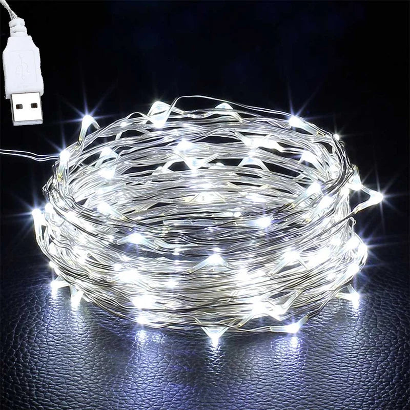 USB LED Fairy String Lights Copper Wire Decor for Holiday Wedding Party