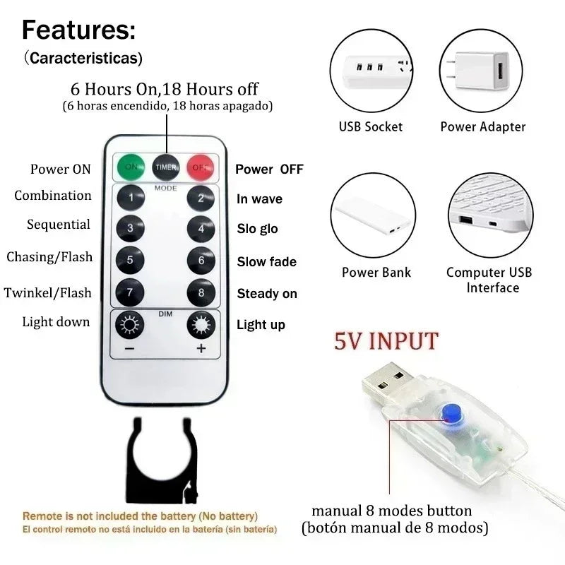 USB Powered Fairy Curtain Lights with Remote Control, 6x3M LED Festoon for Holiday & Christmas Decor