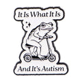 Funny Frog Enamel Pin Animal Brooch Lapel Pin Jewelry Gift for Friends & Kids