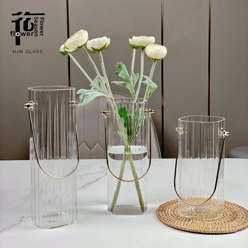 Transparent Glass Flower Vase for Water Cultivation - European Style Desktop Decor