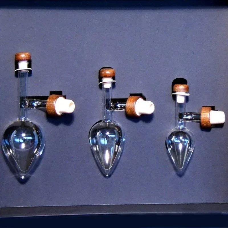 Wine Aerator Pourer Set - Quick Decanter for Red & Glass Wine Bottles