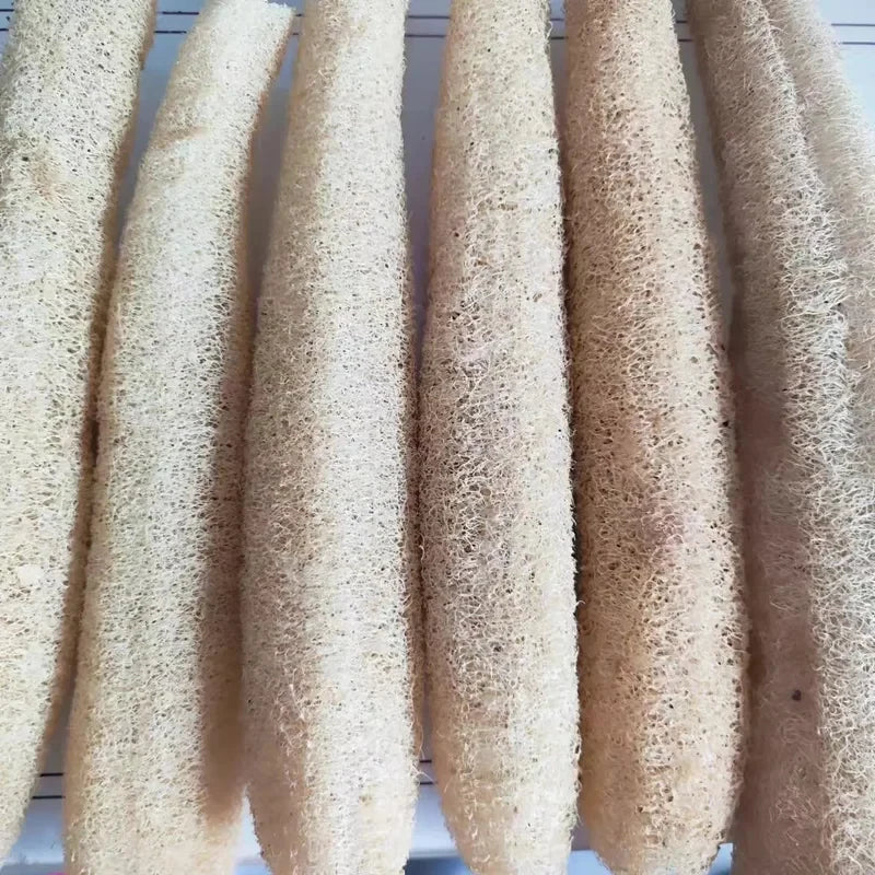 Natural Loofah Sponge for Body & Kitchen Cleaning - Multi-purpose Scrubber