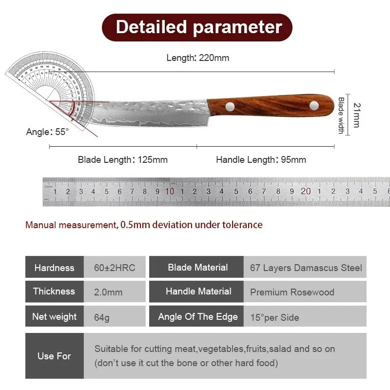 Forged Damascus Steel Fruit & Boning Knife with Solid Wood Handle - 67 Layers Kitchen Tool