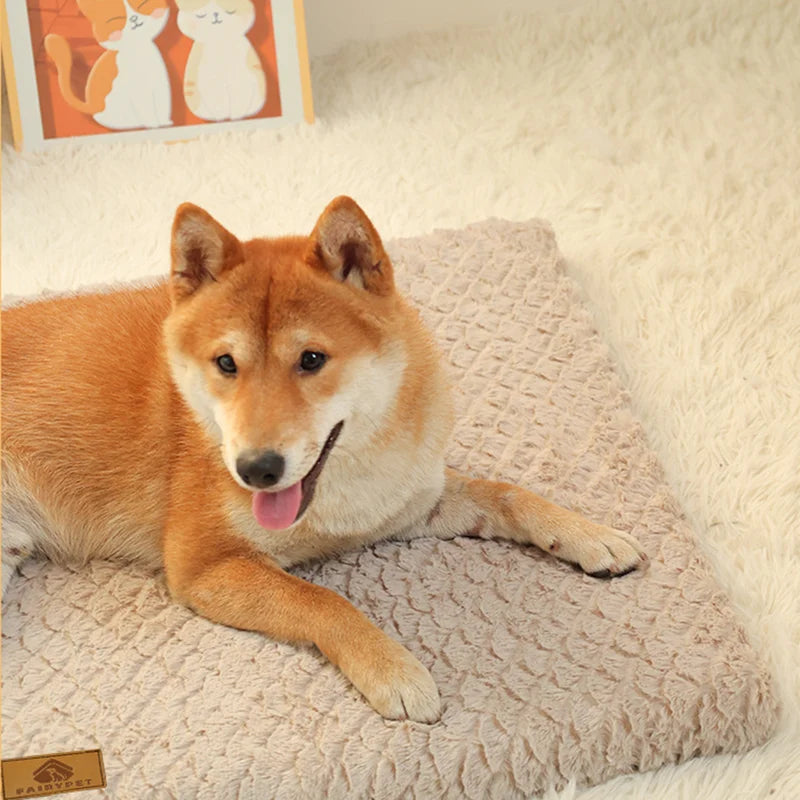 Orthopedic Foam Pet Bed with Removable Washable Cover Waterproof Dog Bed