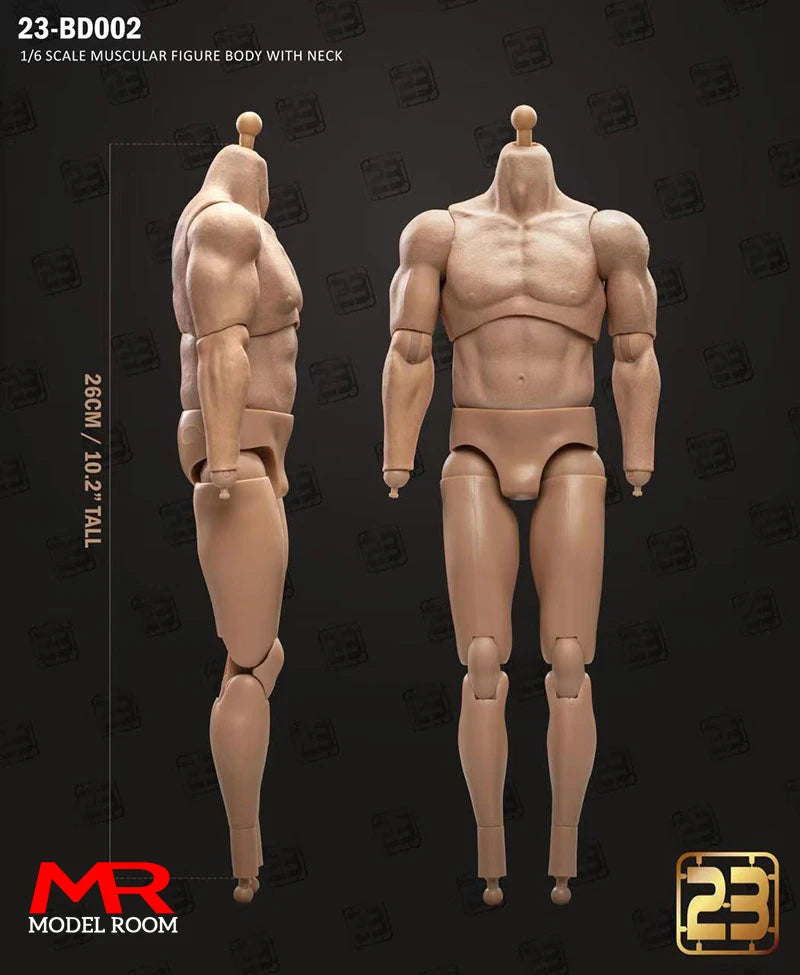 1/6 Scale Male Action Figure Body - Articulated Muscle Model, 23.5-27.5cm