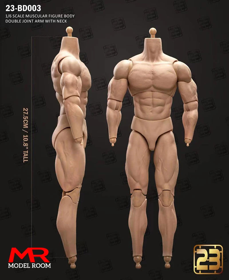 1/6 Scale Male Action Figure Body - Articulated Muscle Model, 23.5-27.5cm