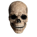 Full Head Latex Skull Mask with Movable Jaw for Halloween & Cosplay