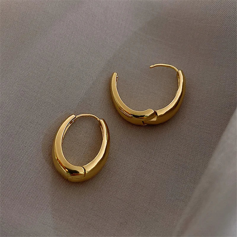Fashion Metal Drop Earrings for Women Vintage Hoop Jewelry Trend 2024