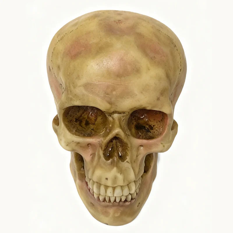 Resin Skull Decor Halloween Centerpiece Gothic Horror Party Decoration