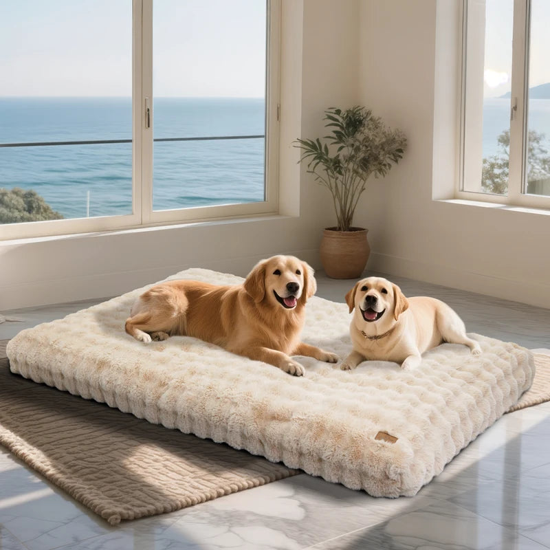Ultra-Soft Plush Pet Bed with Thick Foam Base for Dogs and Cats