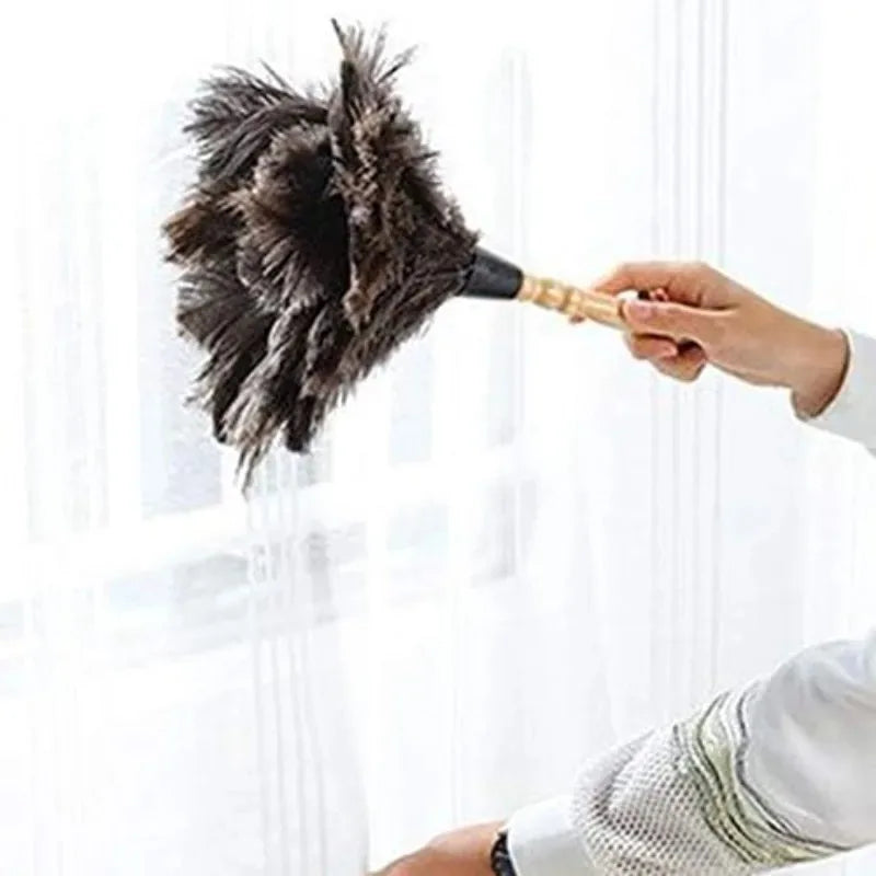 Anti-Static Ostrich Feather Duster Brush Cleaning Tool with Wooden or Plastic Handle