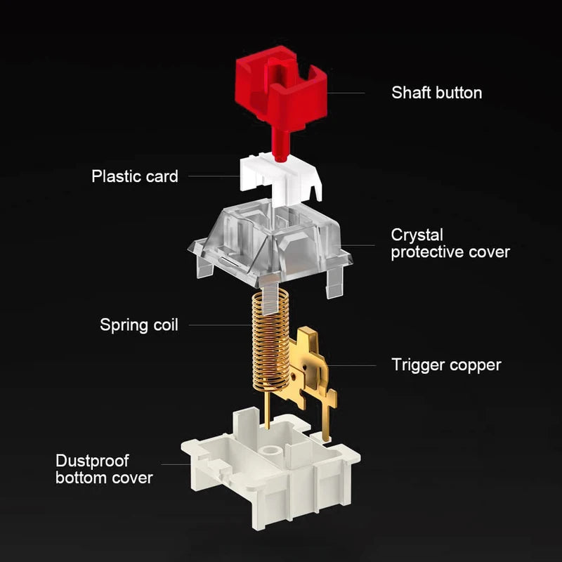 Mechanical Keyboard Switches Set - Dust-Proof, Tactile, Clicky, Silent Options