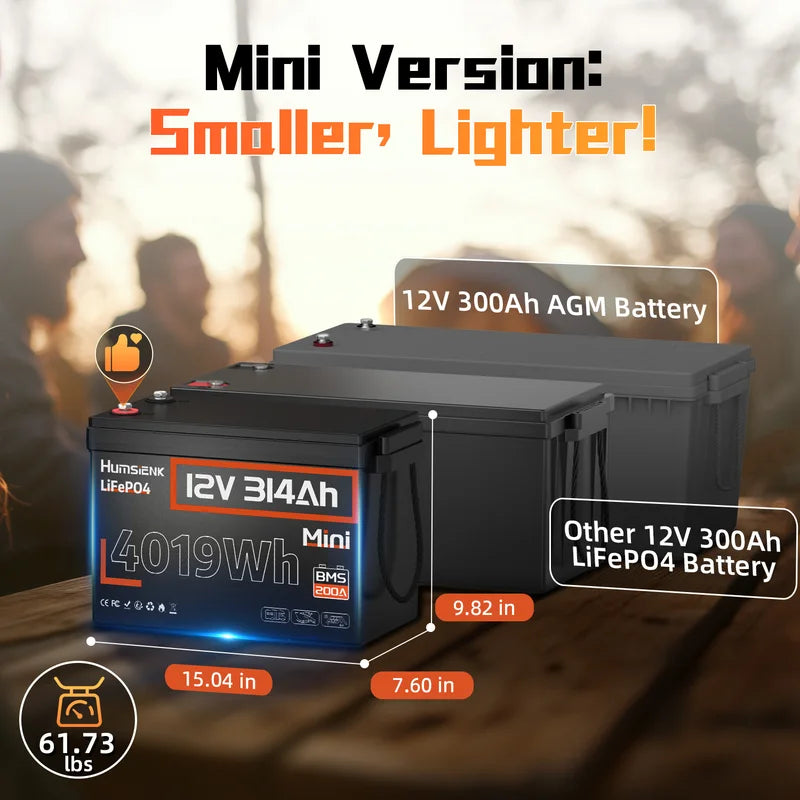 12V 100Ah 150Ah 200Ah 314Ah LiFePO4 Battery with Built-in BMS for RV Solar Energy Storage