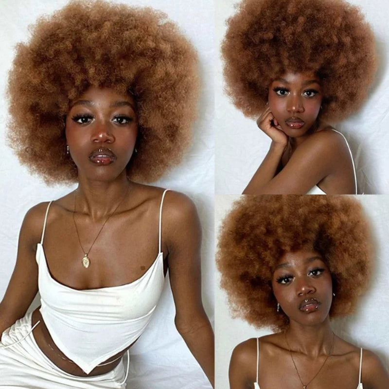 Full Wigs for Women Afro Kinky Curly Synthetic Wig Natural Look Party Cosplay