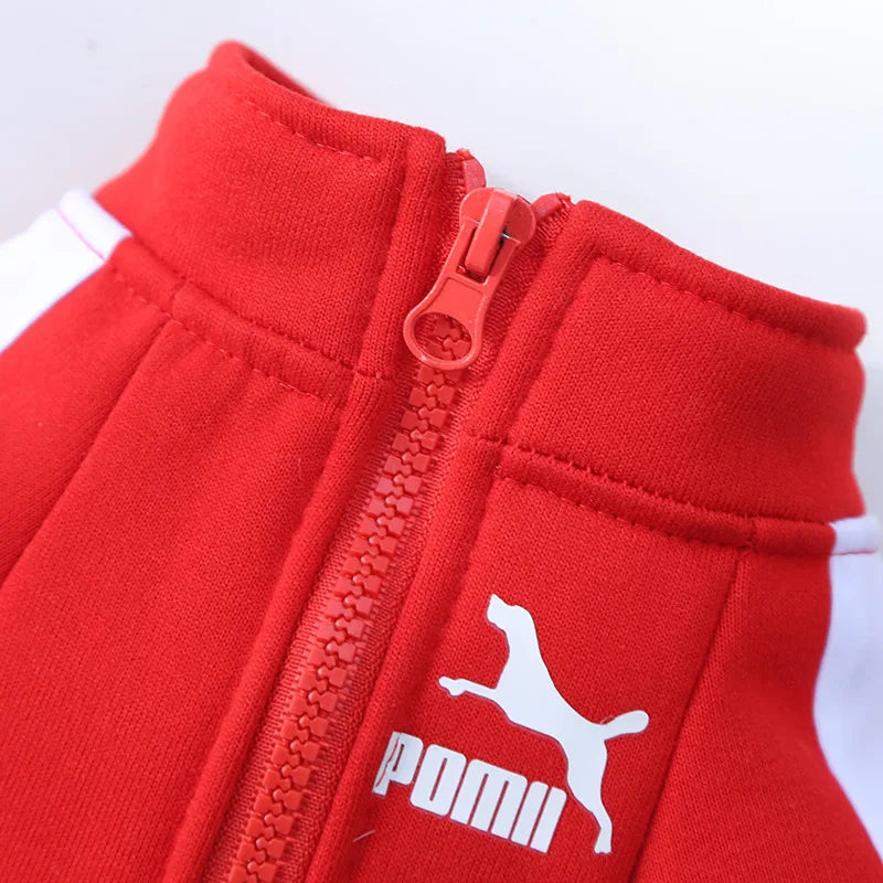 Dog Winter Jacket - Small to Medium Dogs, Puffer Coat & Hoodie Vest for Puppies