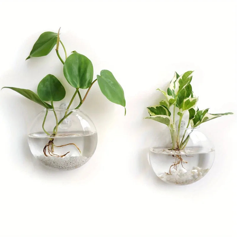 Wall Hanging Glass Terrarium with Self-Watering Hydroponic System - Handmade Round Crystal Vase