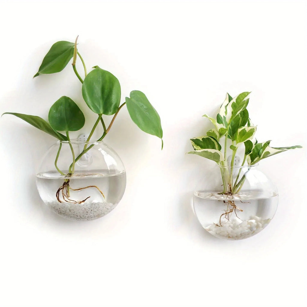 Wall Hanging Glass Terrarium with Self-Watering Hydroponic System - Handmade Round Crystal Vase
