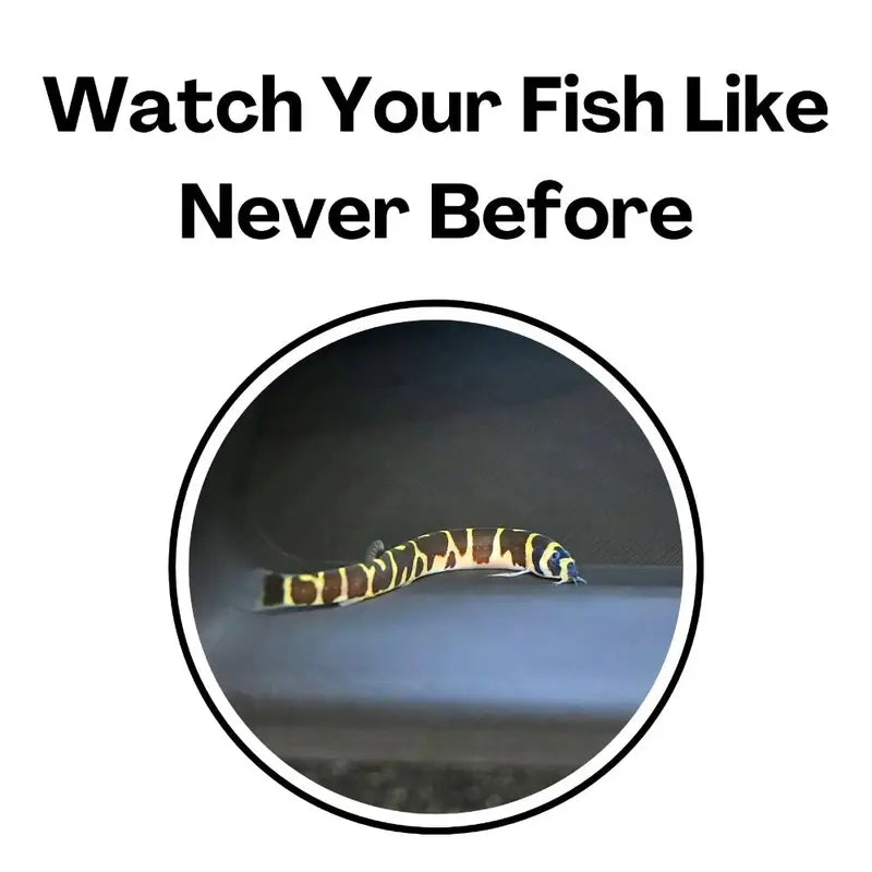Aquarium Underground Tunnel Cave Curve Fish Tank Decor Two Hole - Natural Look