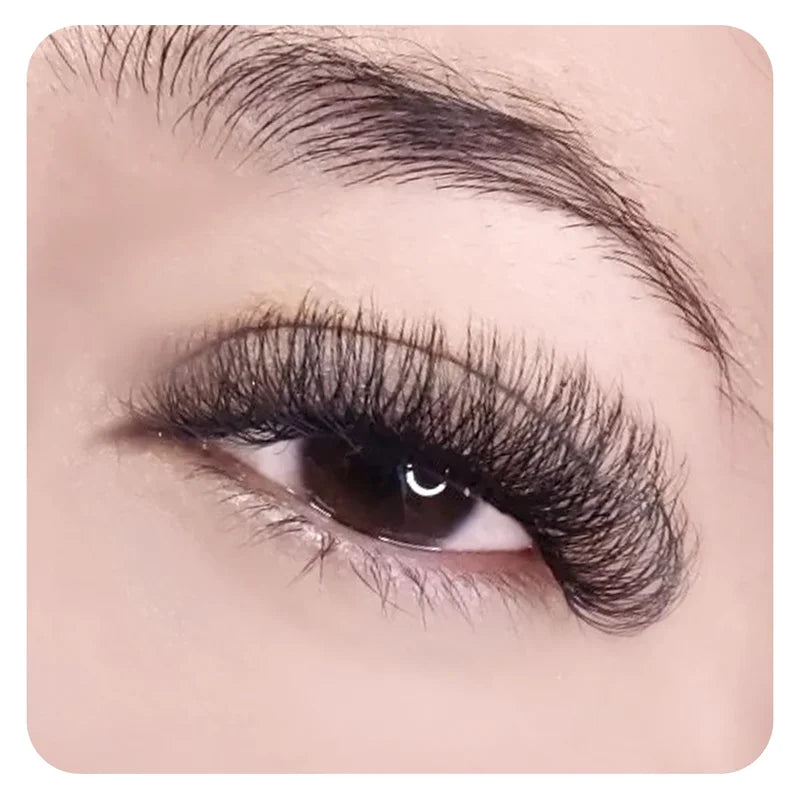 Premade 8D W Shape Volume Lash Extensions - Natural Soft False Eyelashes