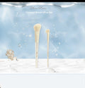 Mineral Powder Bronzer Contour Makeup Brush Set - Flower Knows Swan Bunny Garden